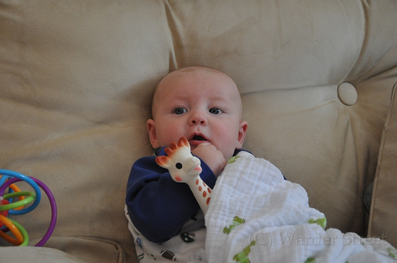 William's Fourteenth Week 01.jpg